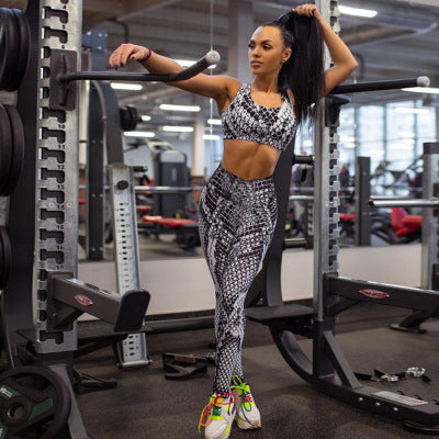 Sculpt & Shine